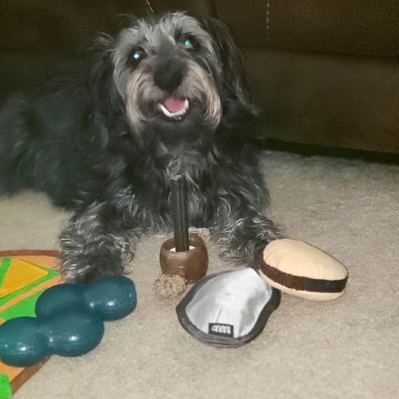 Ollie - Picture 2 of 4